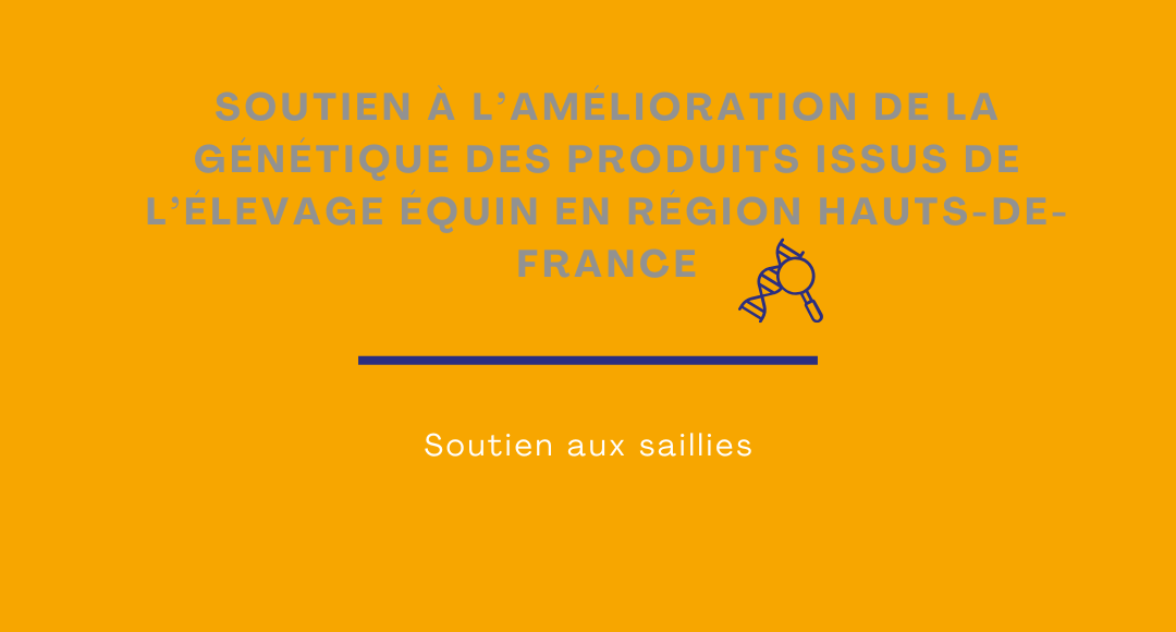 Dernière ligne droite pour déposer un dossier amélioration génétique !