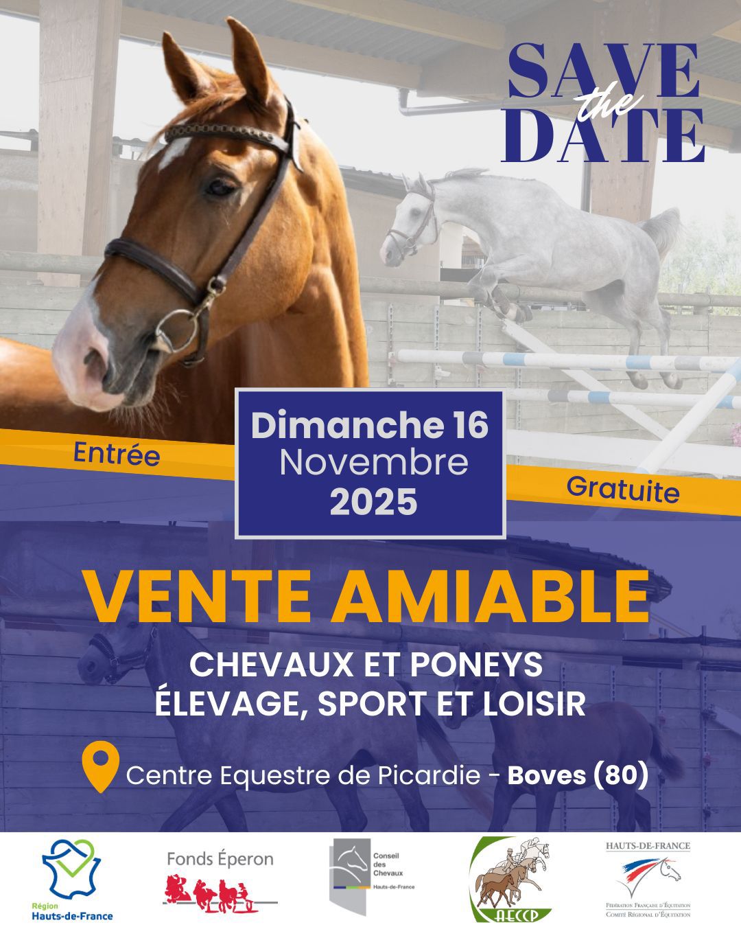 Vente amiable de poneys et chevaux de sport et de loisir