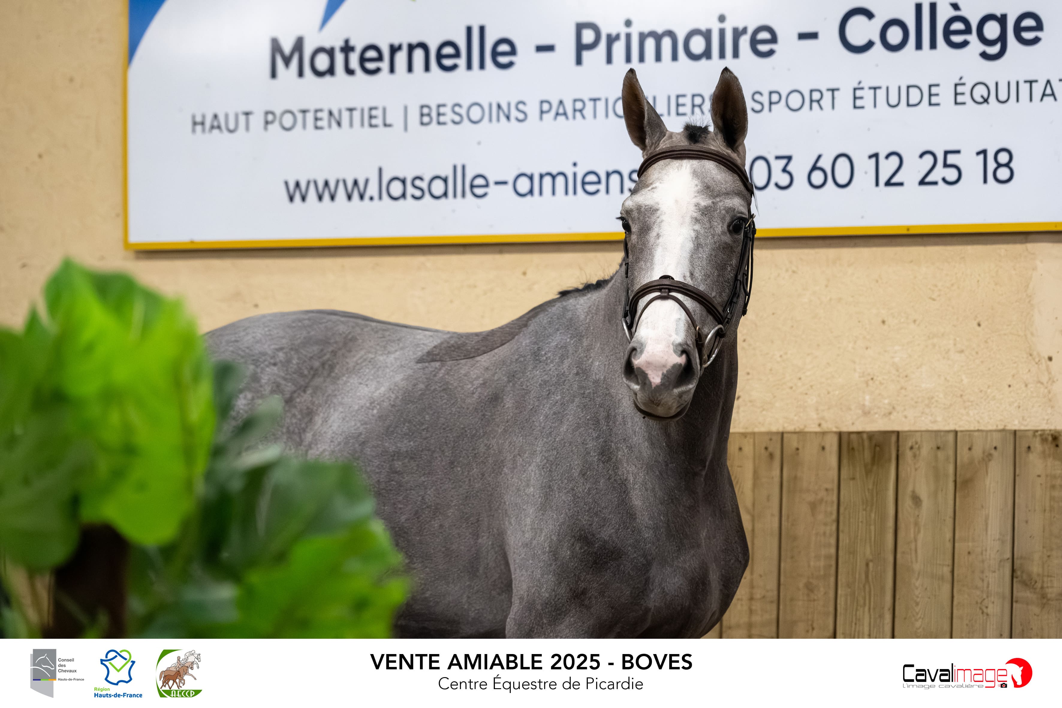 couverture sport